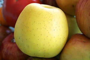 Golden delicious apple.jpg